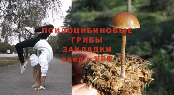 spice Волоколамск
