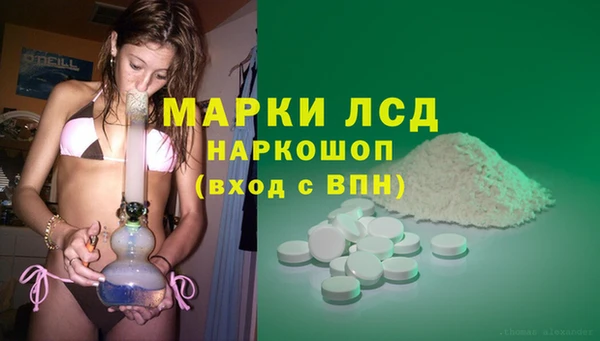 spice Волоколамск