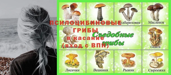 spice Волоколамск