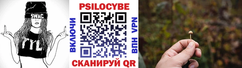 Купить где Салехард Галлюциногенные грибы Psilocybine cubensis